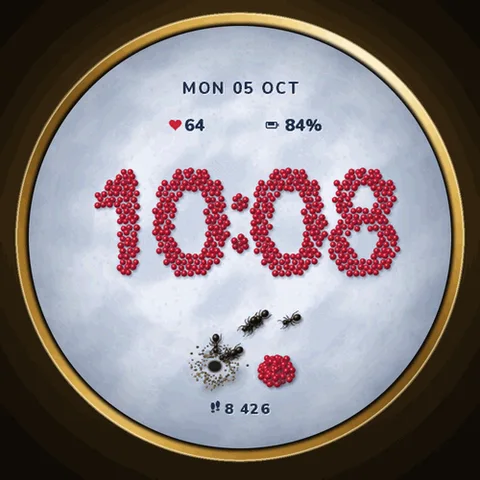 Astra Colony watch face for Garmin. Little ants carry seeds across the sand and lay them grain by grain to write the time each time you raise your wrist.
